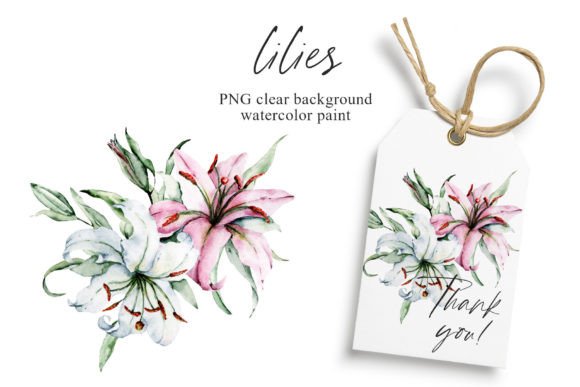 Download Pink and White Flowers Lilies, PNG. - Flowers Collection
